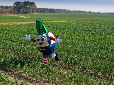 Vidalia Onion - GDECD