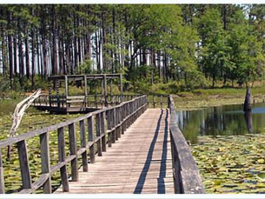 City Donalsonville 1