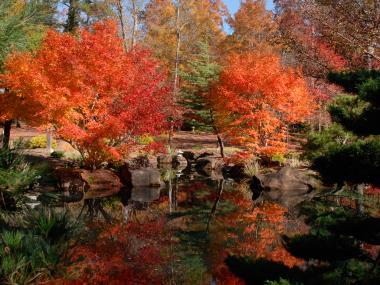 Gibbs Gardens Japanese Garden in the fall