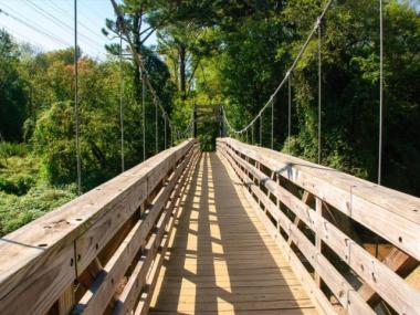 Suspension bridge at Morningside Nature Preserve in Atlanta, Georgia