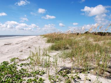 Nanny Goat Beach on Sapelo Island, Georgia