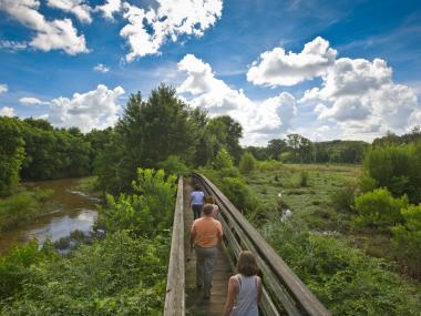 A family walks along a boardwalk surrounded by greenery