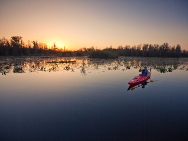 Kayaking in the Okefenokee Swamp