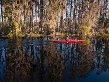 Okefenokee National Wildlife Refuge