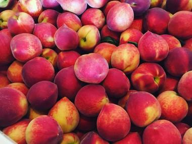 Peaches at Pearson Farm