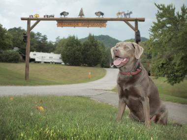 Pet-friendly Blairsville - Trackrock Campground
