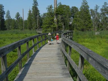 Phinizy Swamp Nature Park in Augusta, Georgia