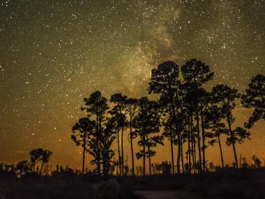 Stargaze at Stephen C. Foster State Park