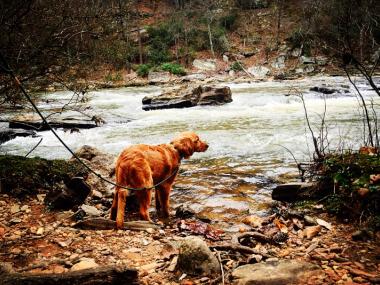 Tails on Trails at Sweetwater Creek State Park