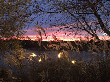 View from 11th & Bay's Porch Overlooking the Chattahoochee River