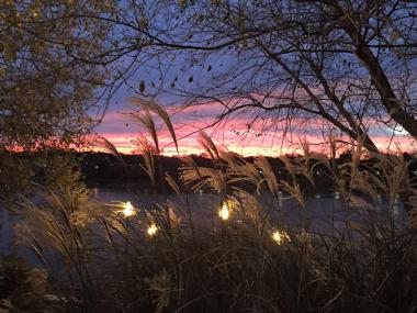 View from 11th & Bay's Porch Overlooking the Chattahoochee River
