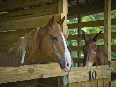 Watson Mill Bridge State Park