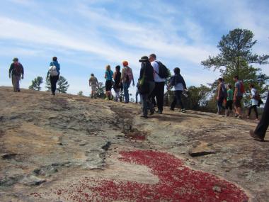 Davidson-Arabia Mountain Nature Preserve in Lithonia, Georgia