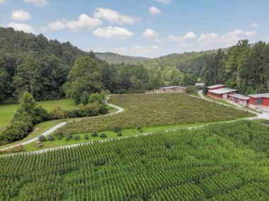 Hillside Orchard Farms in Lakemont, Georgia