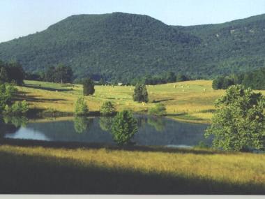 Lookout Mountain Parkway & Scenic Hwy. in Trenton, Georgia