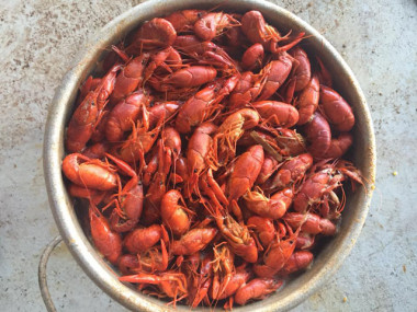 GB's Cajun Cookin' in Carrollton, Georgia