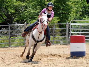 Bent Tree Stables in Jasper, Georgia