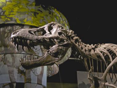 Dinosaur at Tellus Science Museum in Cartersville, Georgia