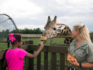 Wild Adventures Theme Park in Valdosta, Georgia