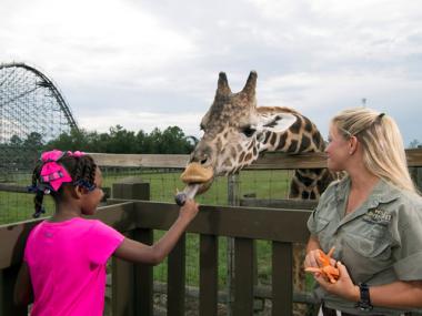 Wild Adventures Theme Park in Valdosta, Georgia