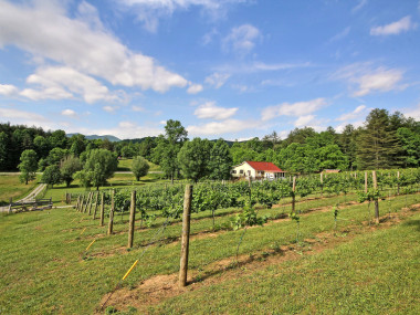 Hightower Creek Vineyards in Hiawassee, Georgia