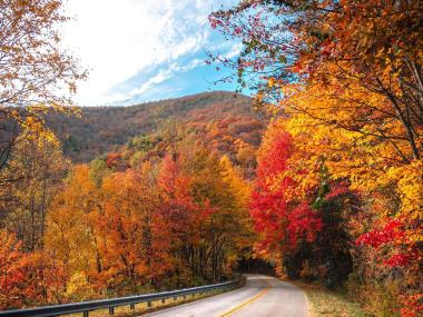 Fall foliage on the road to Brasstown Bald in Hiawassee, Georgia. Photo by @jerrito1