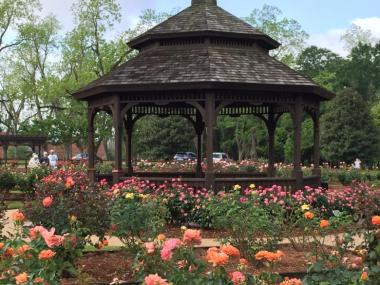 The 5-acre Thomasville Rose Garden in Georgia has more than 1,500 rose bushes.