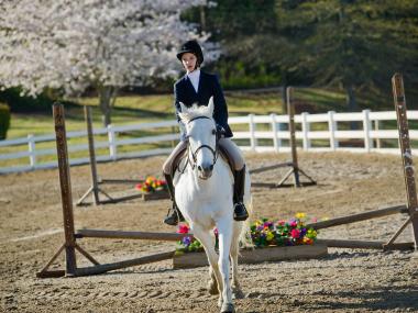 Wills Park Equestrian Center in Alpharetta, Georgia