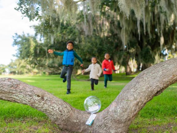 Three children running toward a glass globe resting on a tree branch on Jekyll Island, Georgia