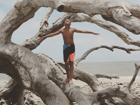 A young boy climbs on a giant piece of driftwood sitting on a beach.