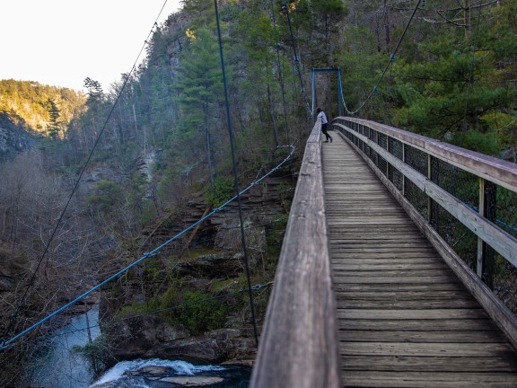 Tallulah Gorge State Park in Tallulah Falls, Georgia. Photo by @benjamingalland