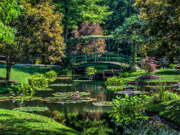 An arched bridge stretches over a pond surrounded by a garden.