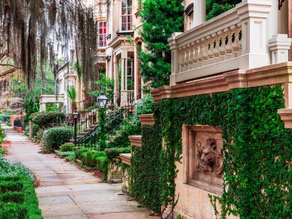 spanish moss growing over buildings in savannah ga