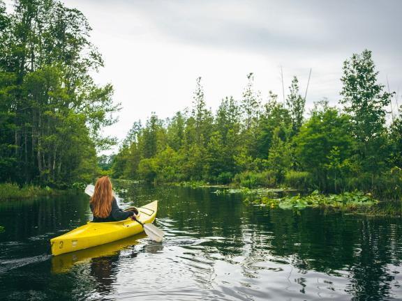 Woman kayaking in the Okefenokee Swamp in south Georgia. Photo by @wandernorthga