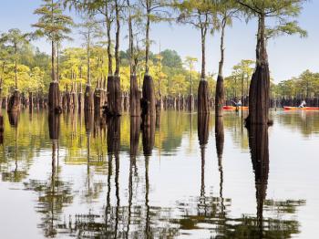 George L. Smith State Park in Twin City, Georgia