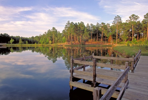 Boarwalk overlooking the lake at General Coffee State Park in Nicholls, Georgia
