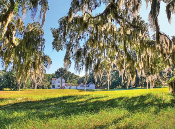 Hofwyl-Broadfield Plantation