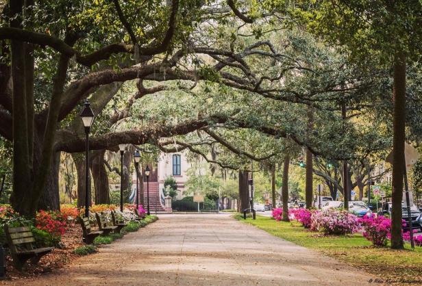 Savannah historic district