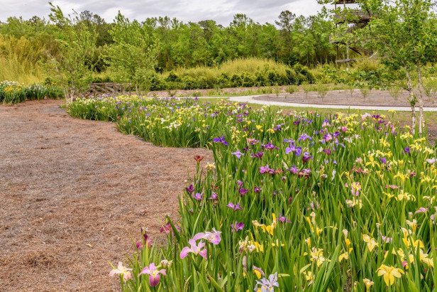 Coastal Georgia Botanical Gardens in Savannah