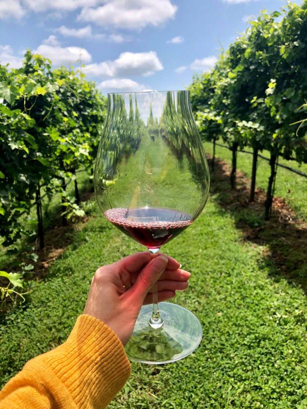 Woman holding a wine glass in the vineyard at Yonah Mountain Vineyards & Winery in Cleveland, Georgia