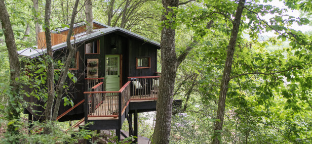 Tree house in North Georgia