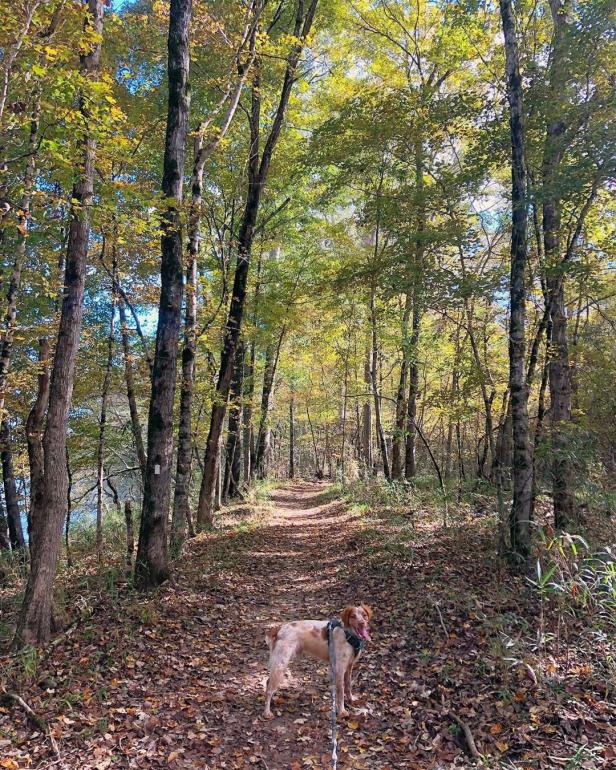 Chattahoochee Bend State Park. Photo by Oliver The Brittany, @olivergoesoutside