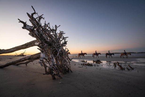 Horseback riding on Driftwood Beach on Jekyll Island, Georgia. Photo by @jodyo.photos