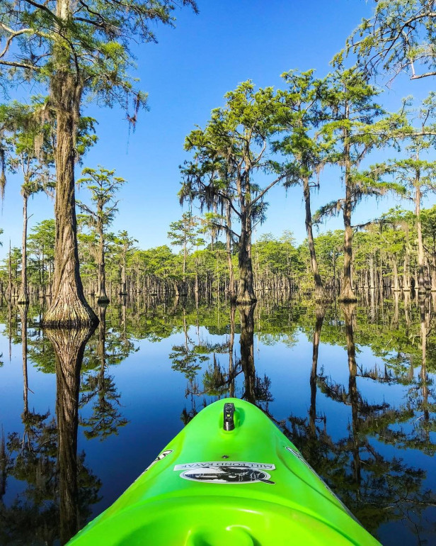 Kayaking at George L. Smith State Park in Twin City, Georgia. Photo by @mpwhidby