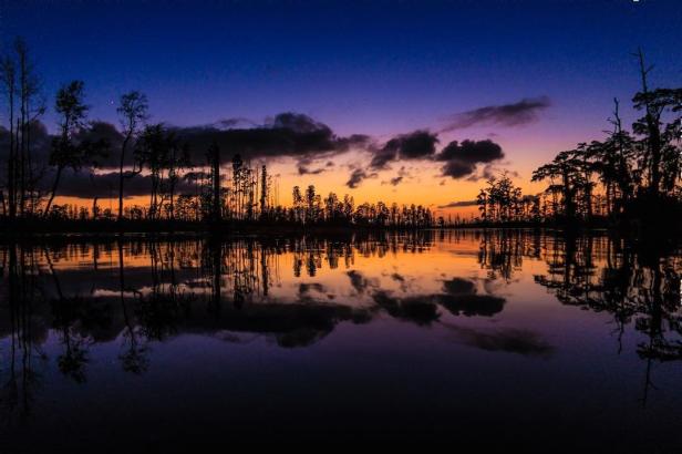 Stephen C. Foster State Park in Fargo, Georgia. Photo by Ken, @elvagogringo