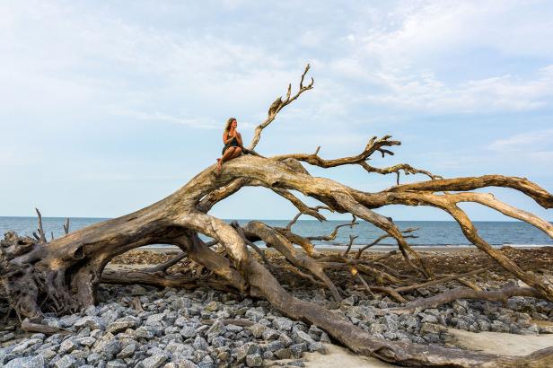 Driftwood Beach on Jekyll Island, Georgia. Photo by @christinelentzyoga