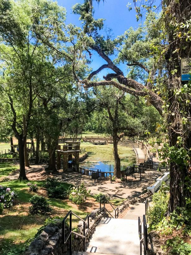 A boardwalk stretches through trees and past water.