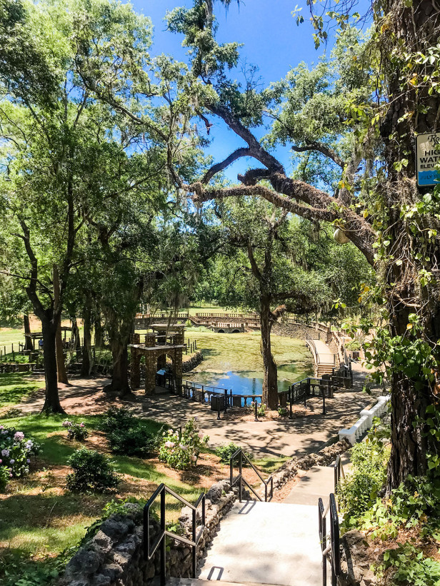 A boardwalk stretches through trees and past water.