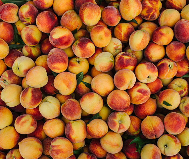 Georgia peaches