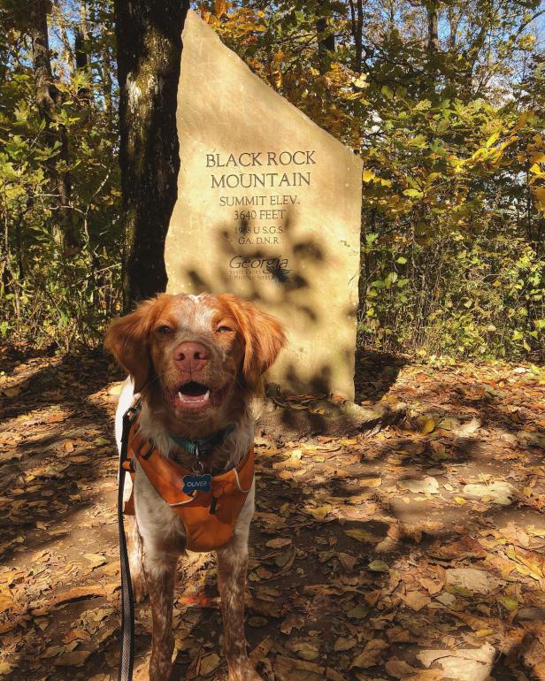 Black Rock Mountain State Park in Clayton, Georgia. Photo by @olivergoesoutside